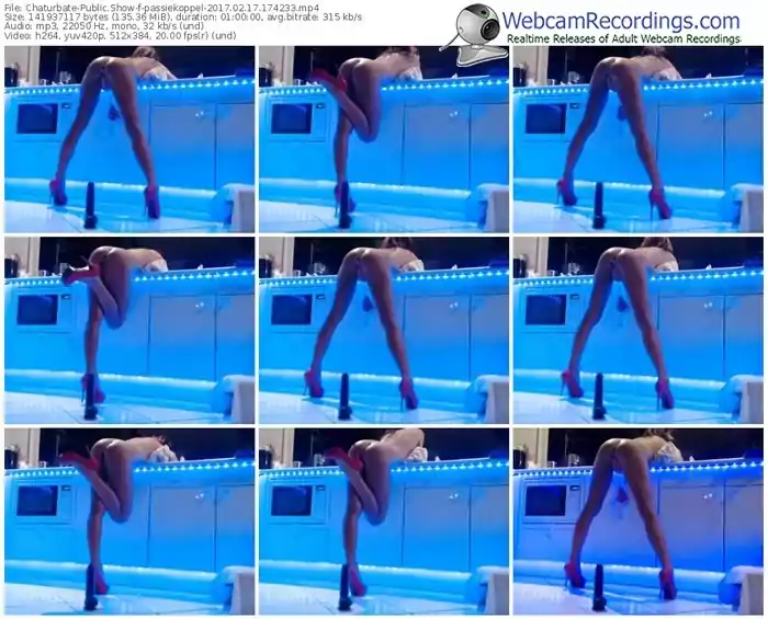 chaturbate-passiekoppel-webcam-show-02_17_2017-17_42_33