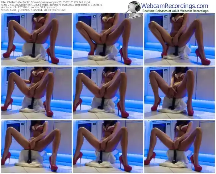 chaturbate-passiekoppel-webcam-show-02_17_2017-22_47_41