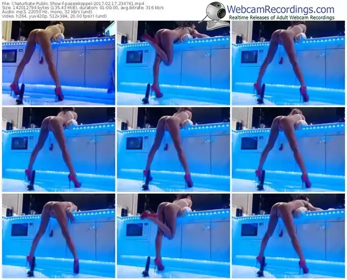 chaturbate-passiekoppel-webcam-show-02_17_2017-23_47_41