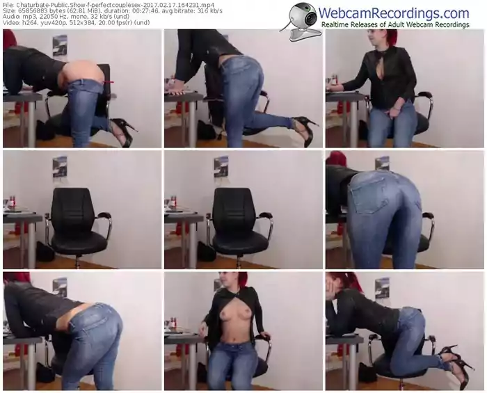 chaturbate-perfectcouplesex-webcam-show-02_17_2017-16_42_31