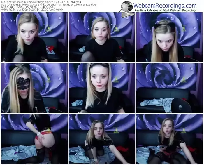 chaturbate-tinygizmo-webcam-show-02_17_2017-00_52_14