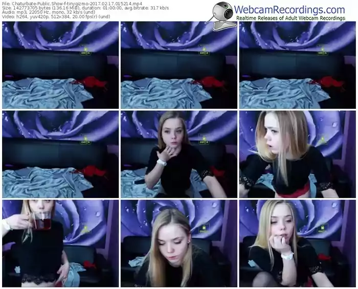 chaturbate-tinygizmo-webcam-show-02_17_2017-01_52_14