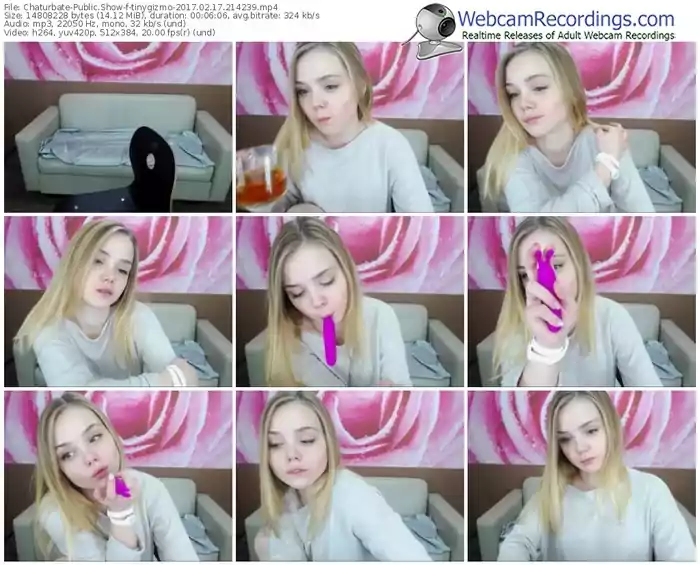 chaturbate-tinygizmo-webcam-show-02_17_2017-21_42_39