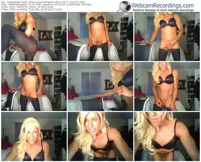 chaturbate-nylonbreanna-webcam-show-02_17_2017-22_47_25