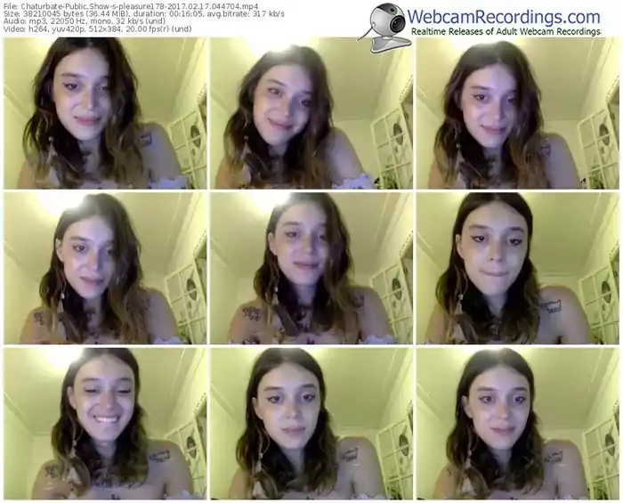 chaturbate-pleasure178-webcam-show-02_17_2017-04_47_04