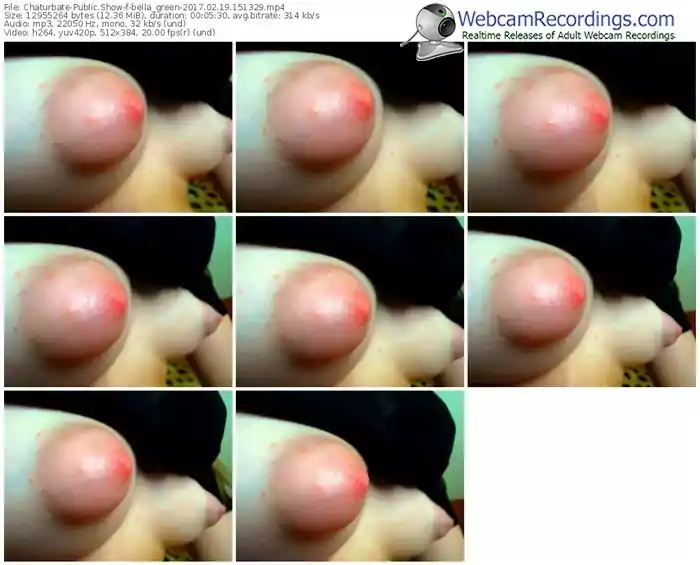 chaturbate-bella_green-webcam-show-02_19_2017-15_13_29