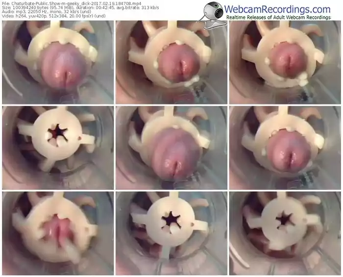 chaturbate-geeky_dick-webcam-show-02_19_2017-18_47_08