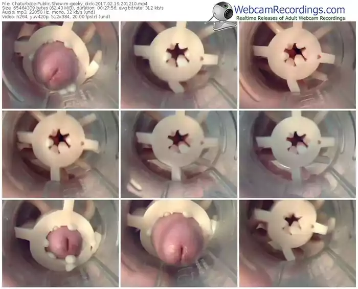 chaturbate-geeky_dick-webcam-show-02_19_2017-20_12_10