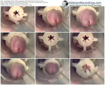 chaturbate-geeky_dick-webcam-show-02_19_2017-21_12_11