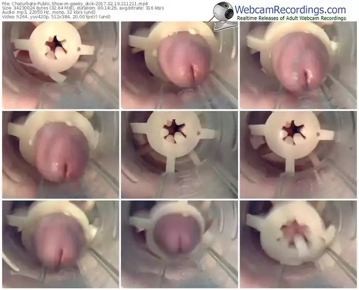 chaturbate-geeky_dick-webcam-show-02_19_2017-21_12_11