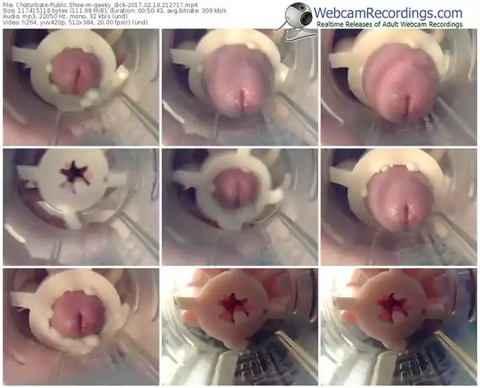 chaturbate-geeky_dick-webcam-show-02_19_2017-21_27_17