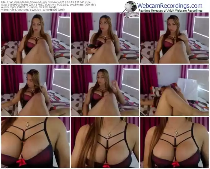 chaturbate-hugecocksexxy-webcam-show-02_19_2017-13_13_40