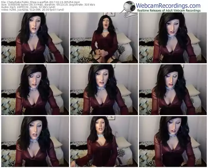 chaturbate-werflot-webcam-show-02_19_2017-00_52_54