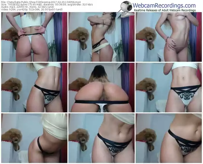 chaturbate-littlesonia-webcam-show-02_20_2017-13_43_56