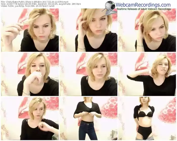 chaturbate-dittakis-webcam-show-02_20_2017-11_03_56