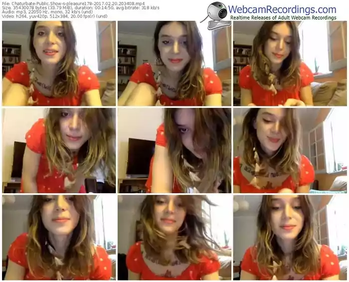 chaturbate-pleasure178-webcam-show-02_20_2017-20_34_08