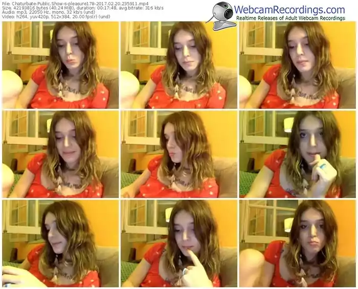 chaturbate-pleasure178-webcam-show-02_20_2017-23_59_11