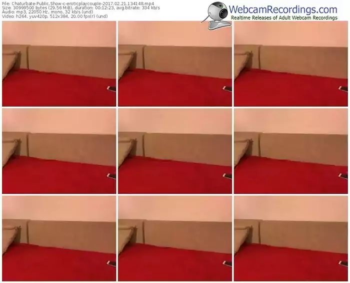 chaturbate-eroticplaycouple-webcam-show-02_21_2017-13_41_48