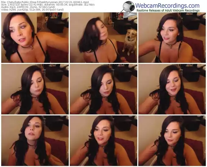 chaturbate-thedirtyrussian-webcam-show-02_21_2017-02_04_11