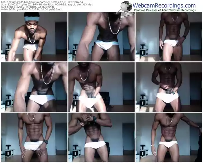 chaturbate-harryng13-webcam-show-02_21_2017-12_37_53