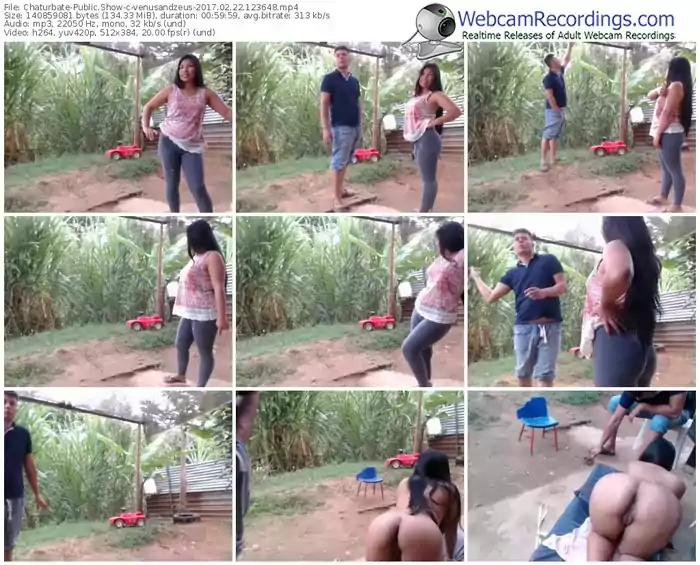 chaturbate-venusandzeus-webcam-show-02_22_2017-12_36_48