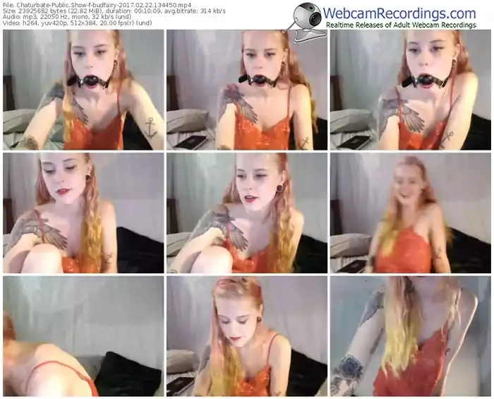 chaturbate-budfairy-webcam-show-02_22_2017-13_44_50