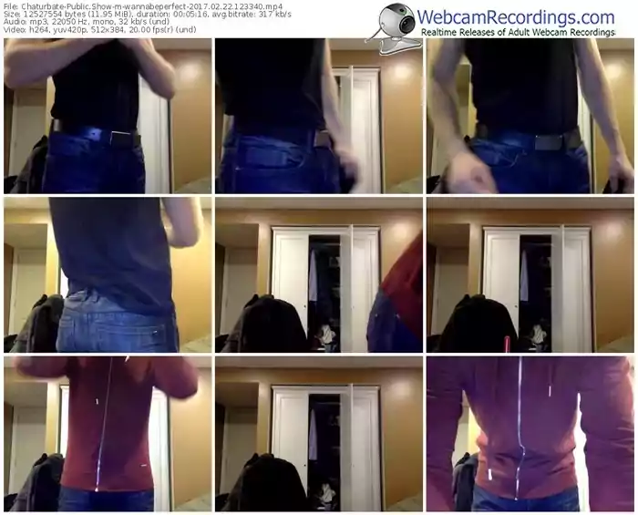 chaturbate-wannabeperfect-webcam-show-02_22_2017-12_33_40