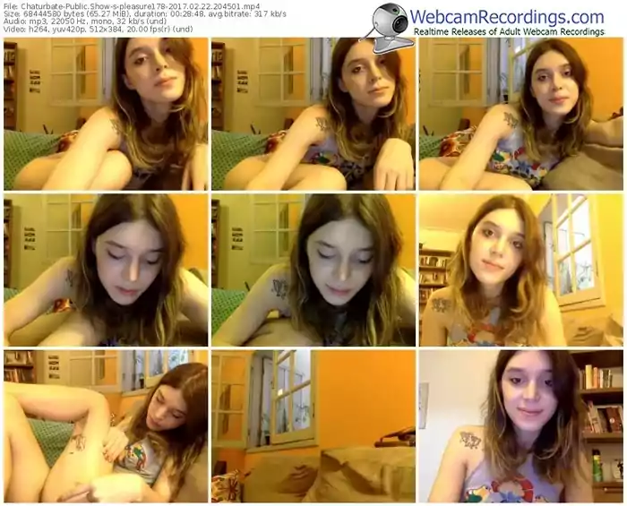 chaturbate-pleasure178-webcam-show-02_22_2017-20_45_01