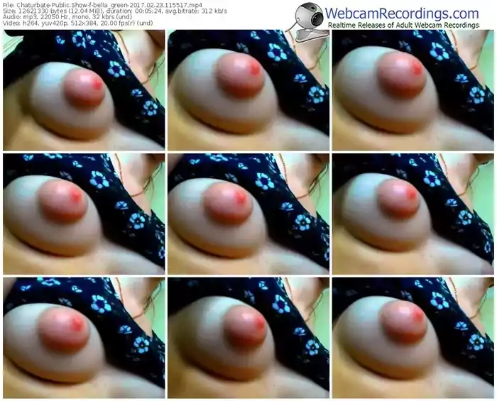 chaturbate-bella_green-webcam-show-02_23_2017-11_55_17