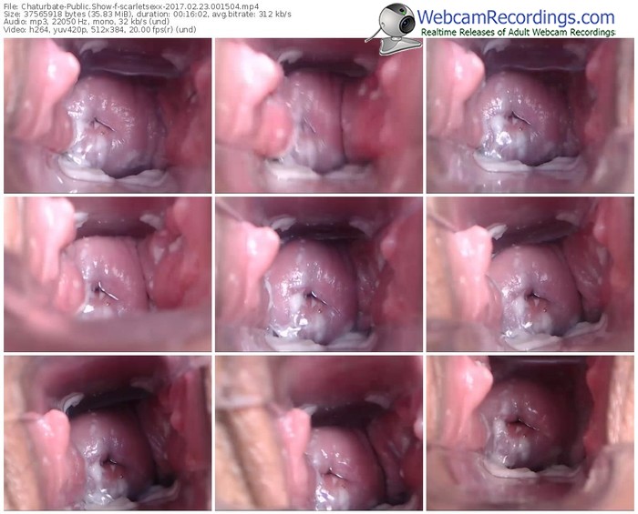 chaturbate-scarletsexx-webcam-show-02_23_2017-00_15_04
