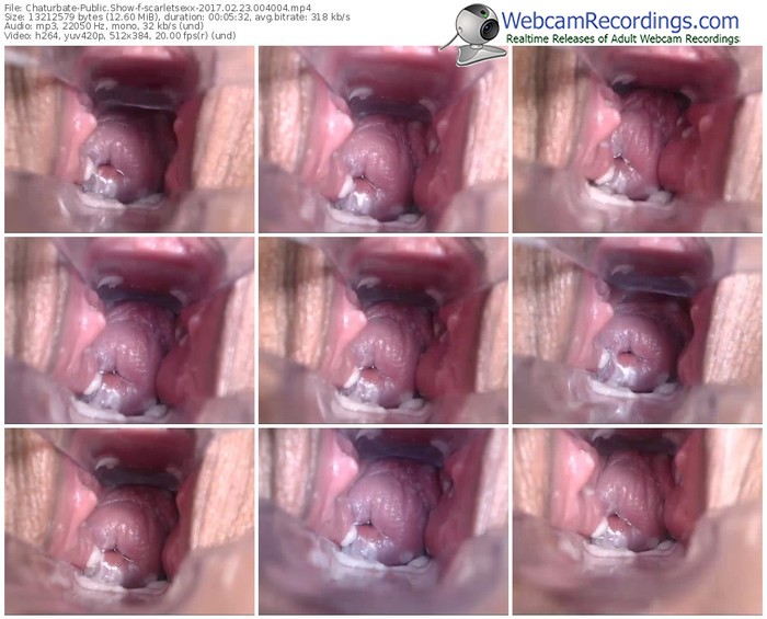 chaturbate-scarletsexx-webcam-show-02_23_2017-00_40_04