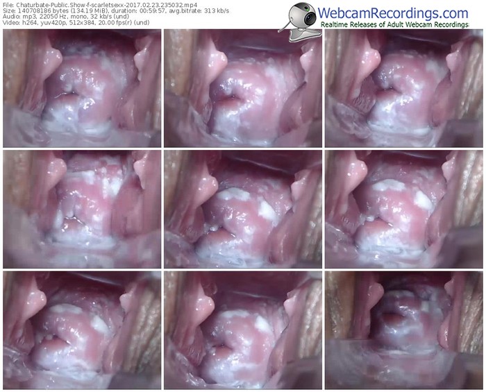 chaturbate-scarletsexx-webcam-show-02_23_2017-23_50_32
