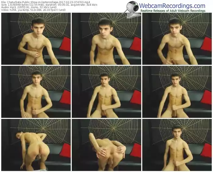 chaturbate-lestercollage-webcam-show-02_23_2017-07_47_03
