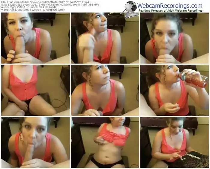 chaturbate-nerdsthatbyte-webcam-show-02_24_2017-05_07_33