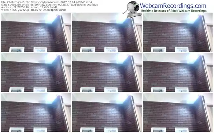 chaturbate-redjinaandross-webcam-show-02_24_2017-16_37_46