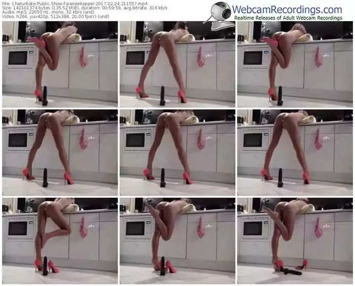 chaturbate-passiekoppel-webcam-show-02_24_2017-21_15_57