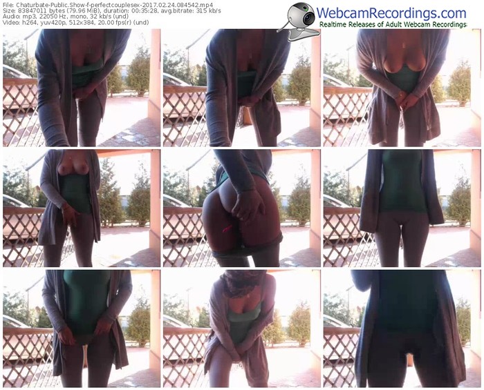chaturbate-perfectcouplesex-webcam-show-02_24_2017-08_45_42
