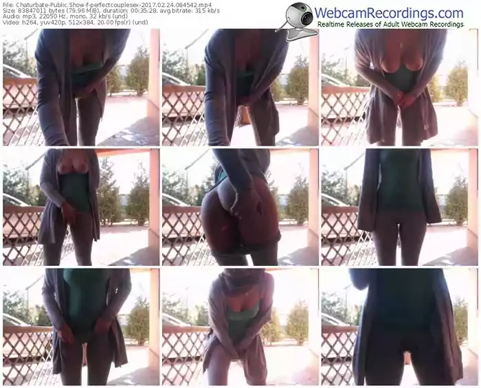 chaturbate-perfectcouplesex-webcam-show-02_24_2017-08_45_42