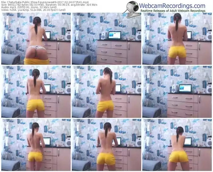 chaturbate-pussysweet9-webcam-show-02_24_2017-07_35_41