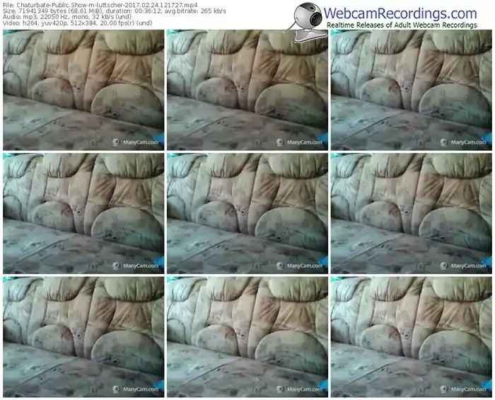 chaturbate-luttscher-webcam-show-02_24_2017-12_17_27