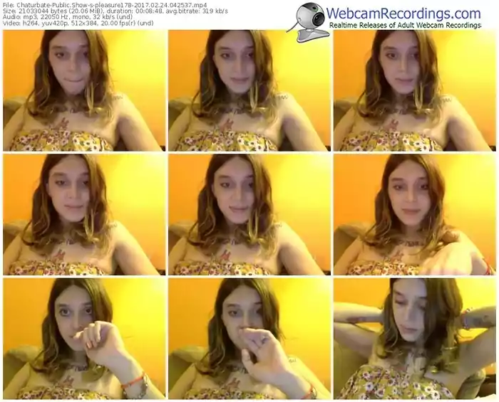 chaturbate-pleasure178-webcam-show-02_24_2017-04_25_37