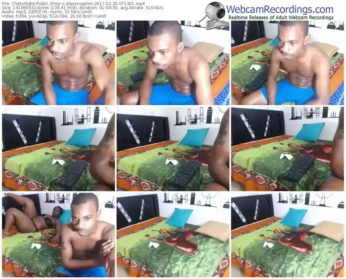 chaturbate-alexxvsgelen-webcam-show-02_25_2017-07_13_01