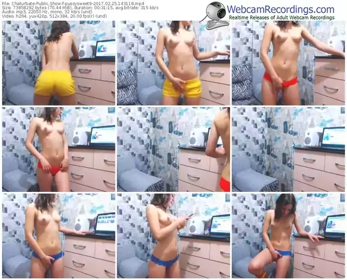 chaturbate-pussysweet9-webcam-show-02_25_2017-14_31_18