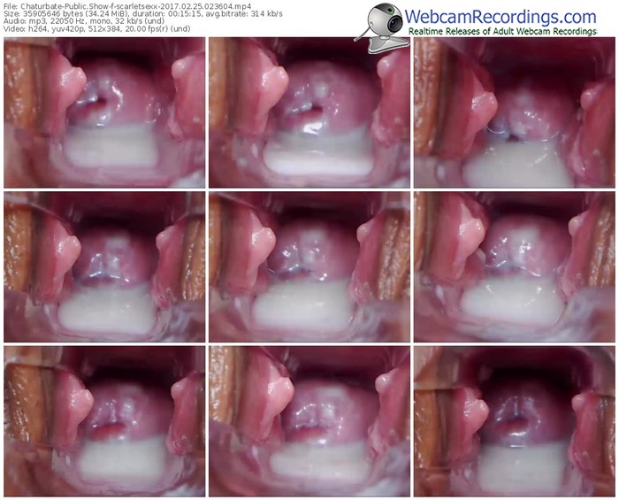 chaturbate-scarletsexx-webcam-show-02_25_2017-02_36_04
