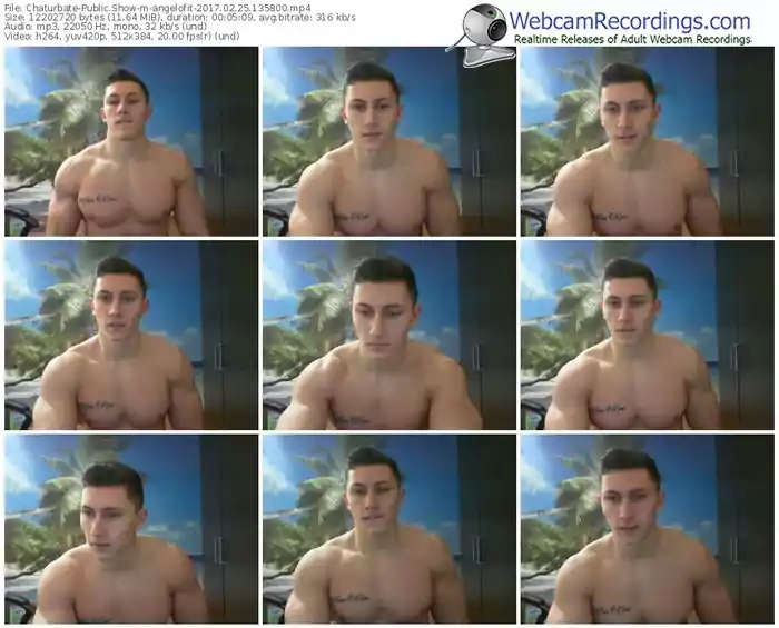 chaturbate-angelofit-webcam-show-02_25_2017-13_58_00