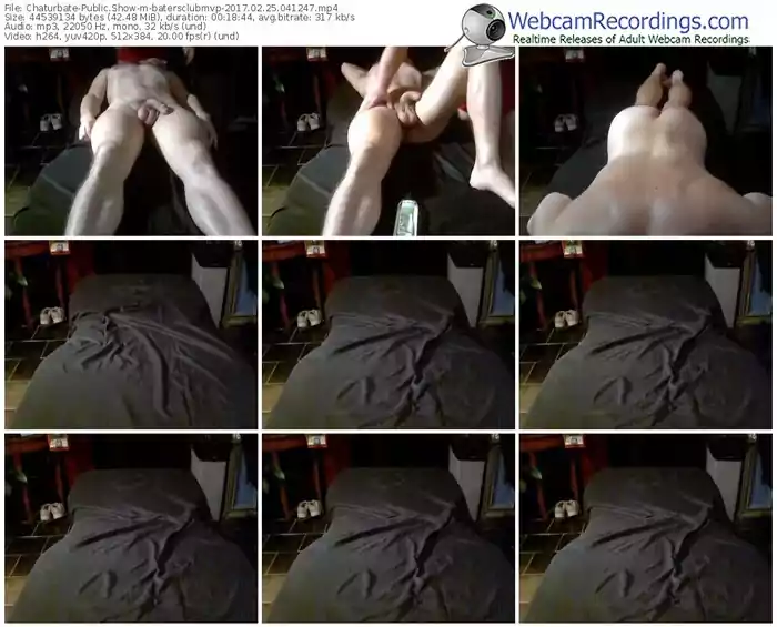 chaturbate-batersclubmvp-webcam-show-02_25_2017-04_12_47