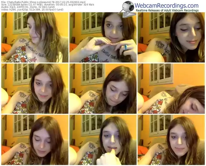 chaturbate-pleasure178-webcam-show-02_25_2017-03_26_02