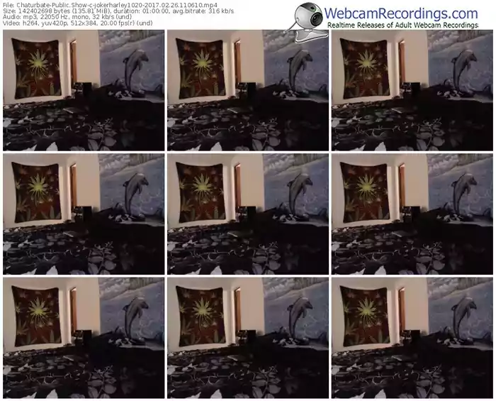 chaturbate-jokerharley1020-webcam-show-02_26_2017-11_06_10