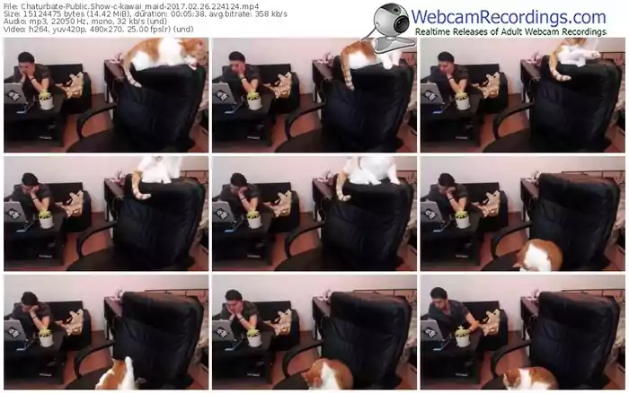 chaturbate-kawai_maid-webcam-show-02_26_2017-22_41_24