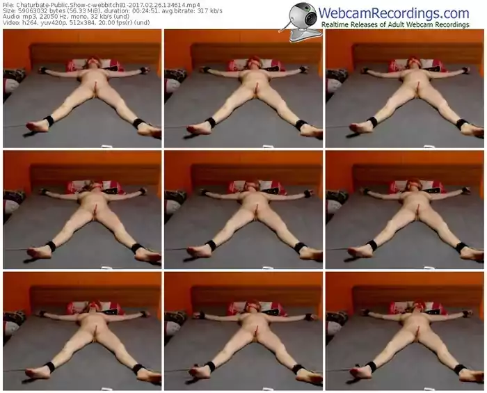 chaturbate-webbitch81-webcam-show-02_26_2017-13_46_14